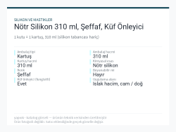 Nötr Silikon 310 ml, Şeffaf, Küf Önleyici