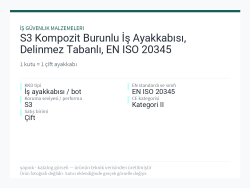 S3 Kompozit Burunlu İş Ayakkabısı, Delinmez Tabanlı, EN ISO 20345