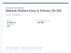 Mekanik Risklere Karşı İş Eldiveni, EN 388