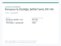 Koruyucu İş Gözlüğü, Şeffaf Camlı, EN 166