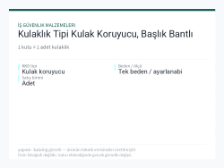 Kulaklık Tipi Kulak Koruyucu, Başlık Bantlı