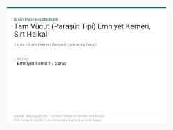 Tam Vücut (Paraşüt Tipi) Emniyet Kemeri, Sırt Halkalı