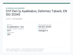 S1P Deri İş Ayakkabısı, Delinmez Tabanlı, EN ISO 20345