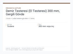 Demir Testeresi (El Testeresi) 300 mm, Gergili Gövde