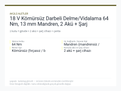 18 V Kömürsüz Darbeli Delme/Vidalama 64 Nm, 13 mm Mandren, 2 Akü + Şarj