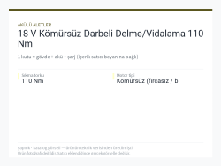18 V Kömürsüz Darbeli Delme/Vidalama 110 Nm
