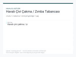 Havalı Çivi Çakma / Zımba Tabancası