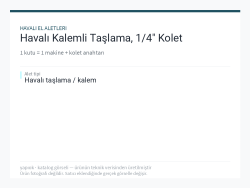 Havalı Kalemli Taşlama, 1/4" Kolet