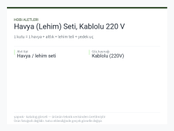 Havya (Lehim) Seti, Kablolu 220 V