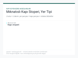 Mıknatıslı Kapı Stoperi, Yer Tipi