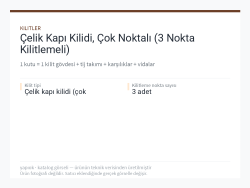 Çelik Kapı Kilidi, Çok Noktalı (3 Nokta Kilitlemeli)