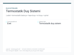 Termostatik Duş Sistemi