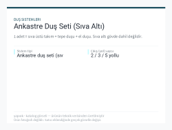 Ankastre Duş Seti (Sıva Altı)