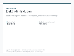 Elektrikli Havlupan