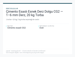 Çimento Esaslı Esnek Derz Dolgu CG2 — 1–6 mm Derz, 20 kg Torba