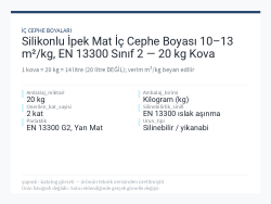 Silikonlu İpek Mat İç Cephe Boyası 10–13 m²/kg, EN 13300 Sınıf 2 — 20 kg Kova