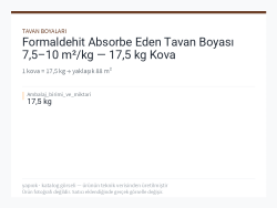 Formaldehit Absorbe Eden Tavan Boyası 7,5–10 m²/kg — 17,5 kg Kova