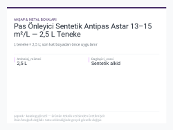 Pas Önleyici Sentetik Antipas Astar 13–15 m²/L — 2,5 L Teneke