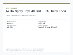 Akrilik Sprey Boya 400 ml — RAL Renk Kodu