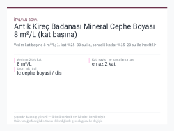 Antik Kireç Badanası Mineral Cephe Boyası 8 m²/L (kat başına)
