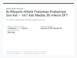 İki Bileşenli Alifatik Poliüretan Endüstriyel Son Kat — %67 Katı Madde, 80 mikron DFT