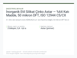 İnorganik Etil Silikat Çinko Astar — %64 Katı Madde, 50 mikron DFT, ISO 12944 C5/CX