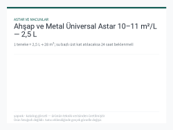 Ahşap ve Metal Üniversal Astar 10–11 m²/L — 2,5 L