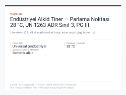 Endüstriyel Alkid Tiner — Parlama Noktası 28 °C, UN 1263 ADR Sınıf 3, PG III