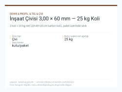 İnşaat Çivisi 3,00 × 60 mm — 25 kg Koli