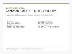 Gazbeton Blok G2 — 60 × 25 × 8,5 cm
