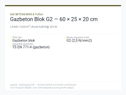 Gazbeton Blok G2 — 60 × 25 × 20 cm