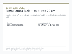 Bims Pomza Blok — 40 × 19 × 20 cm