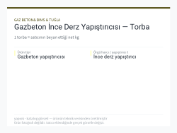 Gazbeton İnce Derz Yapıştırıcısı — Torba