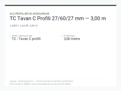 TC Tavan C Profili 27/60/27 mm — 3,00 m
