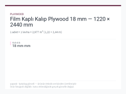 Film Kaplı Kalıp Plywood 18 mm — 1220 × 2440 mm