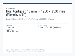 Huş Kontrplak 18 mm — 1250 × 2500 mm (Filmsiz, WBP)