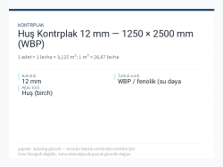 Huş Kontrplak 12 mm — 1250 × 2500 mm (WBP)