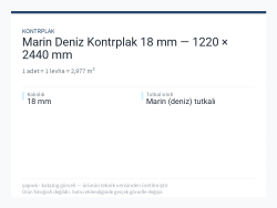 Marin Deniz Kontrplak 18 mm — 1220 × 2440 mm