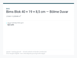 Bims Blok 40 × 19 × 8,5 cm — Bölme Duvar