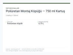 Poliüretan Montaj Köpüğü — 750 ml Kartuş