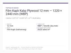 Film Kaplı Kalıp Plywood 12 mm — 1220 × 2440 mm (WBP)