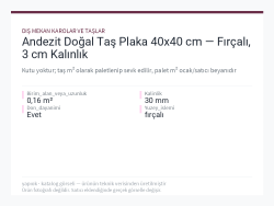 andezit-dogal-tas-plaka-40x40-cm-fircali-3-cm-kalinlik