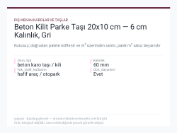 beton-kilit-parke-tasi-20x10-cm-6-cm-kalinlik-gri