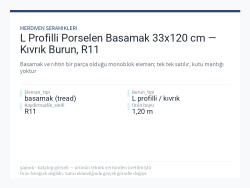 L Profilli Porselen Basamak 33x120 cm — Kıvrık Burun, R11