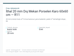 İthal 20 mm Dış Mekan Porselen Karo 60x60 cm — R11