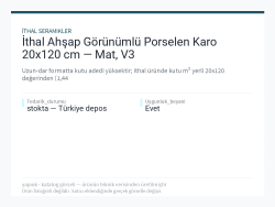 İthal Ahşap Görünümlü Porselen Karo 20x120 cm — Mat, V3