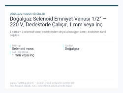 Doğalgaz Selenoid Emniyet Vanası 1/2" — 220 V, Dedektörle Çalışır, 1 mm veya inç