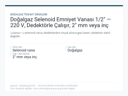 Doğalgaz Selenoid Emniyet Vanası 1/2" — 220 V, Dedektörle Çalışır, 2" mm veya inç