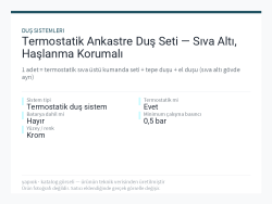 Termostatik Ankastre Duş Seti — Sıva Altı, Haşlanma Korumalı
