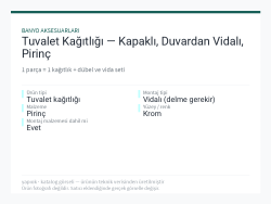 Tuvalet Kağıtlığı — Kapaklı, Duvardan Vidalı, Pirinç